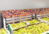 Les agriculteurs ukrainiens augmentent de près de 100% leurs commandes pour la construction d'installations de stockage de légumes.