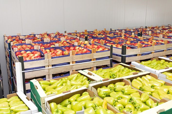 Ucrania necesita construir 150 instalaciones de almacenamiento de hortalizas para garantizar la seguridad alimentaria.