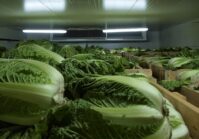 Ucrania necesita aumentar la capacidad de almacenamiento de hortalizas en un 60%.