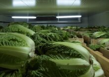 Ukraine needs to increase vegetable storage capacity by 60%.