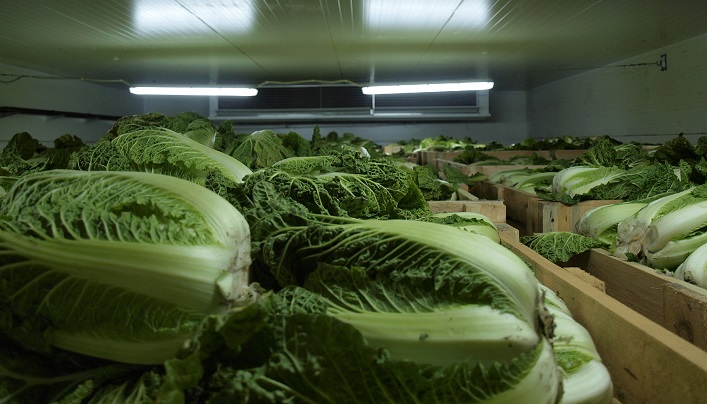 Україна потребує нарощування потужностей овочесховищ на 60%.