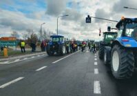 Polscy i węgierscy rolnicy będą protestować na granicy przeciwko importowi z Ukrainy.