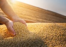 Ukraine can export a record amount of soybeans this season.