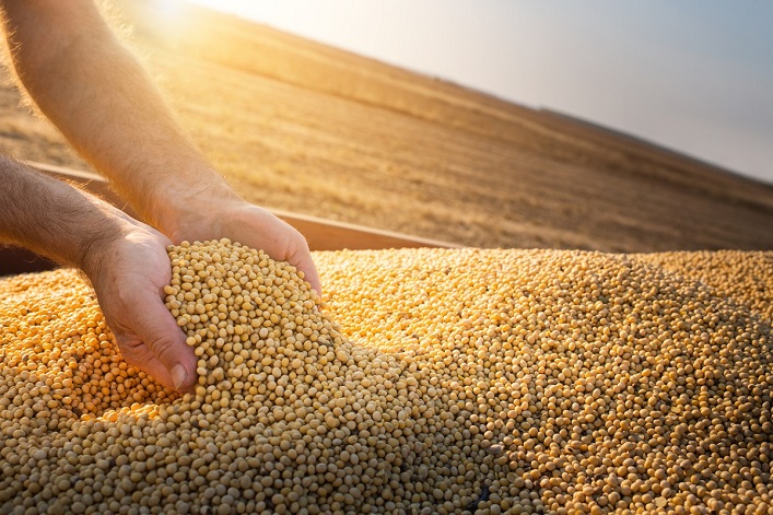 Ucrania puede exportar una cantidad récord de soja esta temporada.
