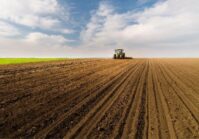 FAO ONZ nie wywiązała się ze swoich obietnic dotyczących dostaw nasion, co wpłynęło na kampanię siewną w Ukrainie.