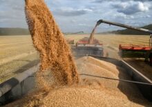Американські аналітики суттєво покращили прогноз експорту української пшениці.