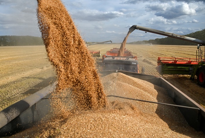 Американські аналітики суттєво покращили прогноз експорту української пшениці.