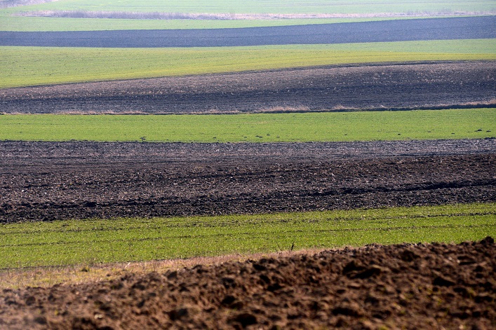 La liberalización del mercado de tierras aportará a Ucrania 20.000 millones de dólares para restaurar su sector agrícola.