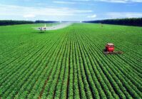 Les dirigeants de l'agro-industrie ukrainienne ont augmenté leurs revenus de 35% au cours de l'année dernière.