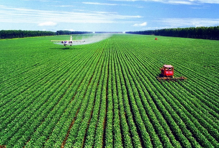 Les dirigeants de l’agro-industrie ukrainienne ont augmenté leurs revenus de 35% au cours de l’année dernière.