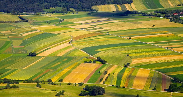 En lugar de comprar, las empresas venden tierras agrícolas en Ucrania.