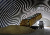 Debido a la no imposición del 40% de la cosecha de cereales, Ucrania ha perdido miles de millones de dólares.