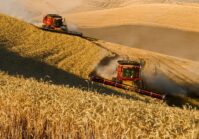 Experten schildern die Befürchtungen der EU: Die Ukraine könnte den Agrarmarkt der europäischen Länder auf den Kopf stellen.