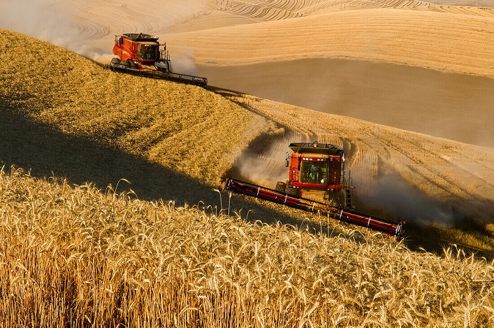 Фахівці про побоювання ЄС: Україна потенційно здатна перевернути аграрний ринок європейських країн.