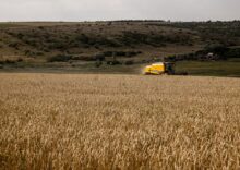 Die Ukraine hat bereits 100.000 Tonnen Getreide aus der neuen Ernte geerntet; in dieser Saison werden 56 Mio. Tonnen gedroschen.