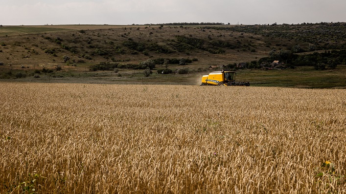 Ukraine has already collected 100 000 tons of grain from the new crop; this season, 56 million tons will be threshed.