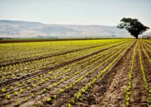 Los participantes en la subasta de tierras ganaron más de 1.000 millones de UAH.