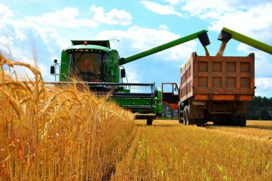 Ukraine’s agricultural sector generates 19% of the country’s GDP, exports 70% of its products, and can feed 400 million people.