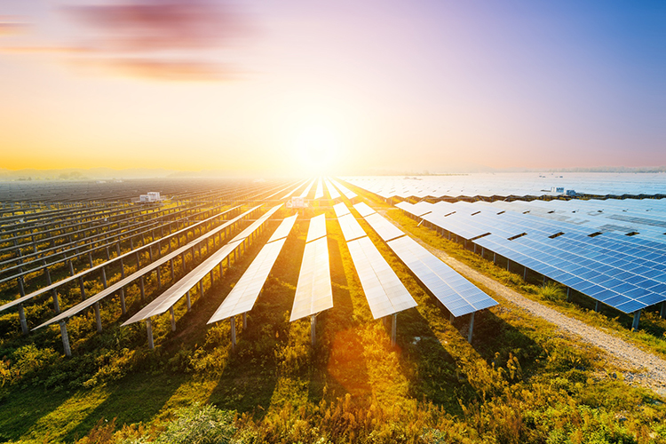 La capacidad de energía solar crece a un ritmo récord, superando las previsiones de los expertos.