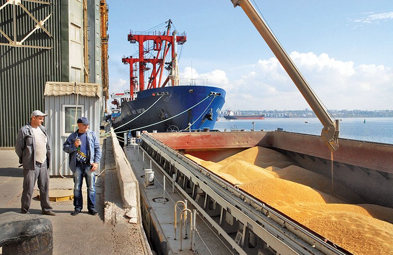 Experten benennen vielversprechende landwirtschaftliche Produktionsbereiche, die die Ukraine auf dem afrikanischen Markt erkunden sollte.