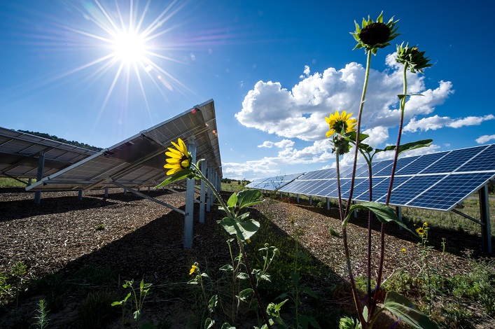 Die Ukraine sollte der Entwicklung der grünen Energie Priorität einräumen, um Investitionen anzuziehen.