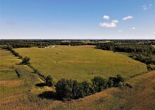 Опубліковано результати земельних онлайн-аукціонів за останні три роки: скільки гектарів продано та як зростає вартість?