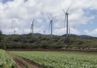 Obwód żytomierski buduje alternatywne źródła energii: Tureccy inwestorzy zbudują farmę wiatrową.