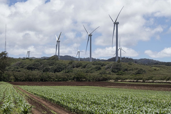 La región de Zhitomir está construyendo una planta de generación de energía alternativa: inversores turcos construirán un parque eólico.