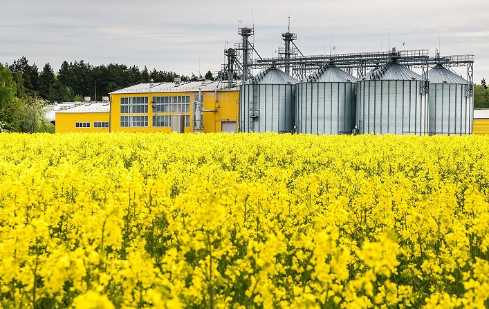 A German rapeseed processing giant has opened a representative office in Ukraine.