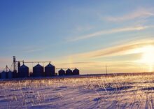 Die Kapitalisierung der ukrainischen Agrarholdings stieg aufgrund der verbesserten Logistik und der Veränderungen auf den globalen Agrarmärkten um mehr als 3,8 Mrd. EUR.