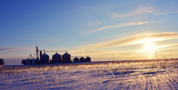 The new European Commissioner for Agriculture names the Ukrainian agricultural sector the elephant in the room regarding its impact on EU agriculture.