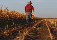 In Ukraine, more than 1,200 agricultural enterprises have closed since the start of the full-scale invasion.