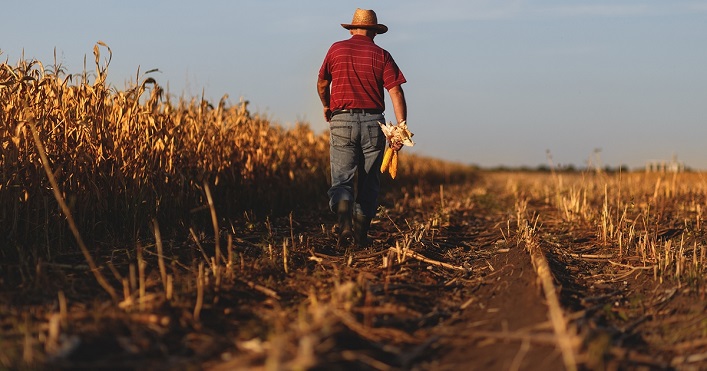 In Ukraine, more than 1,200 agricultural enterprises have closed since the start of the full-scale invasion.