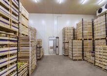 The Mykolaiv region is repairing storage facilities for long-term storage of fruit and vegetable products.