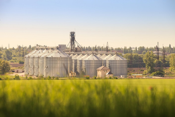 Група Vitagro під час війни інвестувала близько $50 млн в чотири заводи.