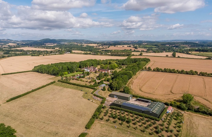 Farmers from Ukraine have started buying and renting land in Poland: how much does a hectare cost?