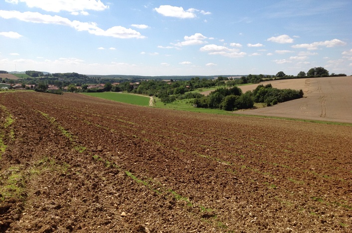 Ukraine has lost 20.5% of its agricultural land since the start of the full-scale war.