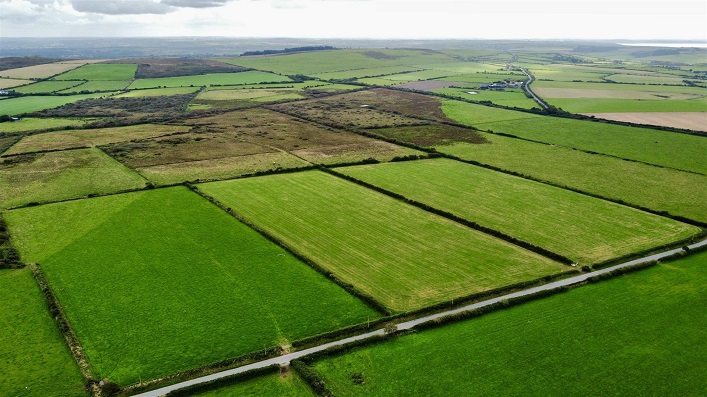 Growing demand and the arrival of foreign investors will shape the Ukrainian land market.