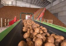 A modern potato storage facility with a capacity of up to 10,000 tons will be built in the Chernihiv region.