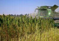 Volyn will develop an industrial park for the processing of industrial hemp into textiles.
