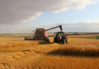 In the current season, harvest indicators are significantly below last year's level.