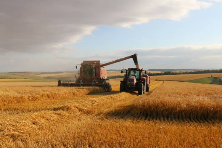 In the current season, harvest indicators are significantly below last year’s level.