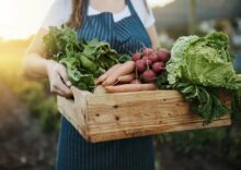 Ukraine will establish a national network of vegetable storage facilities to preserve 35% of the harvest.