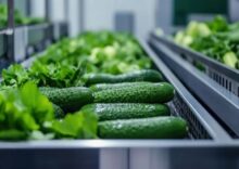 In Western Ukraine, an agricultural holding has opened a new processing plant and aims to enter export markets.