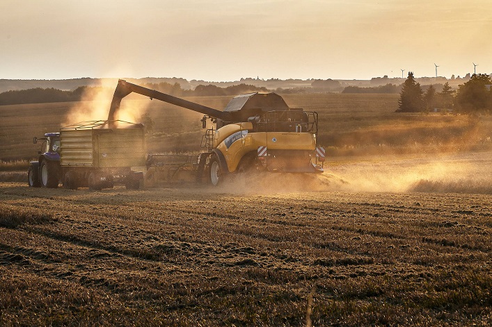 Polish oil producers are urging their government to lift the embargo on Ukrainian rapeseed imports due to a raw material shortage.