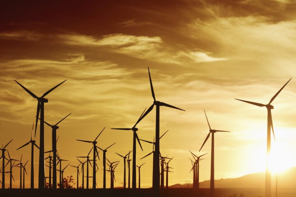 Another company is entering the Ukrainian market to sell guarantees of origin for electricity from renewable sources.