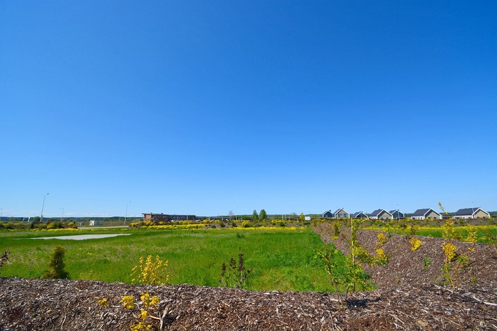 Ukrainians investing in land plots for private development are pushing prices higher.